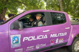 Pesquisa aponta que 13,1% das vítimas de feminicídio tinham medida protetiva no Brasil