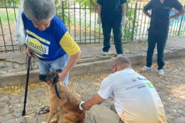 Teresina realiza campanha de vacinação para raiva em abril e maio