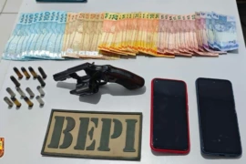Operação da PM apreende arma, munições e veículos no Sul do Piauí