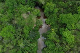 Área queimada no Brasil cai 31% em 2025, aponta relatório do MapBiomas