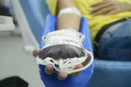 Novas regras reduzem prazo para doação de sangue após tatuagens e procedimentos estéticos